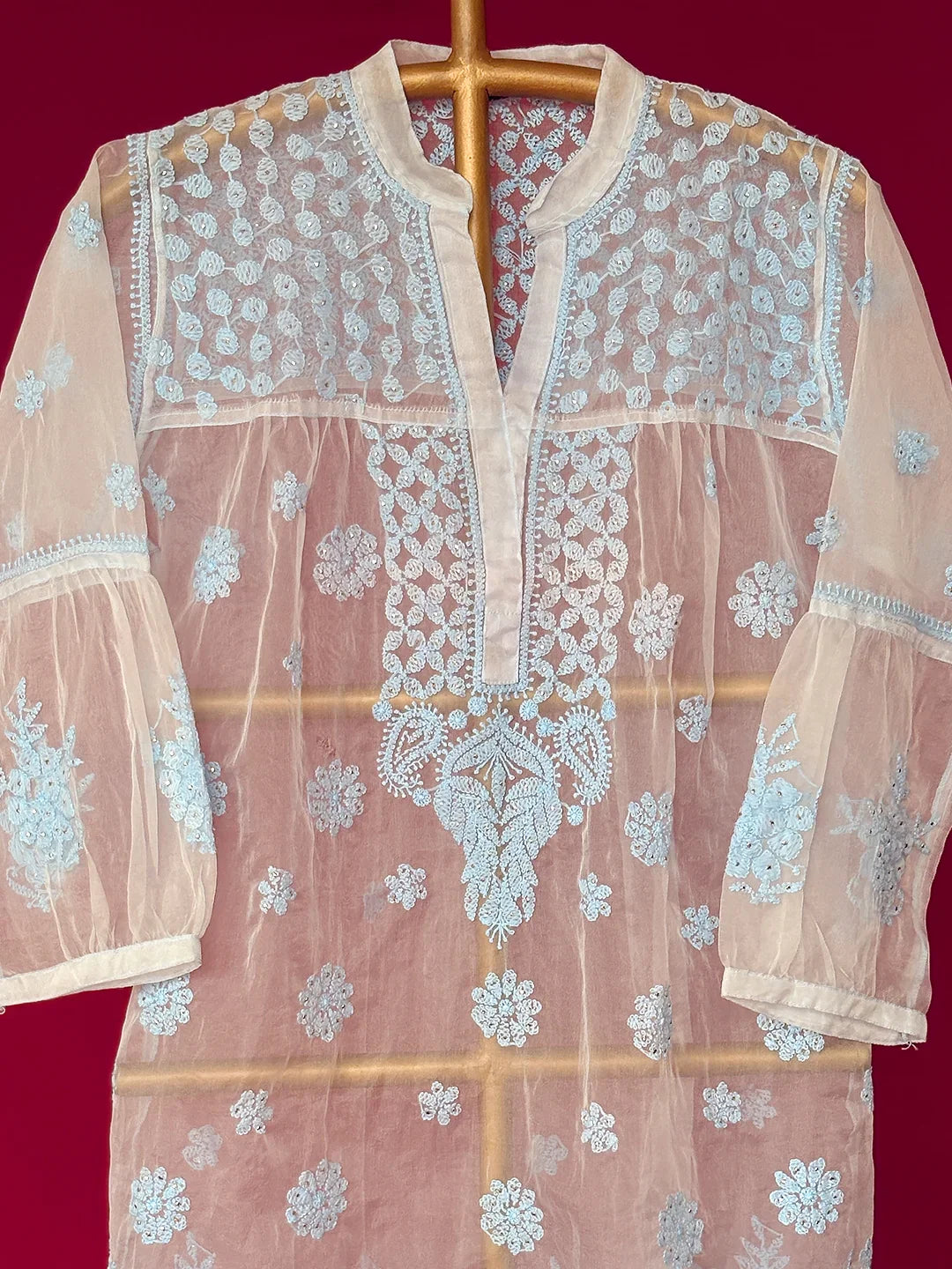 Aashna Organza Chikankari Short Kurta - Blue