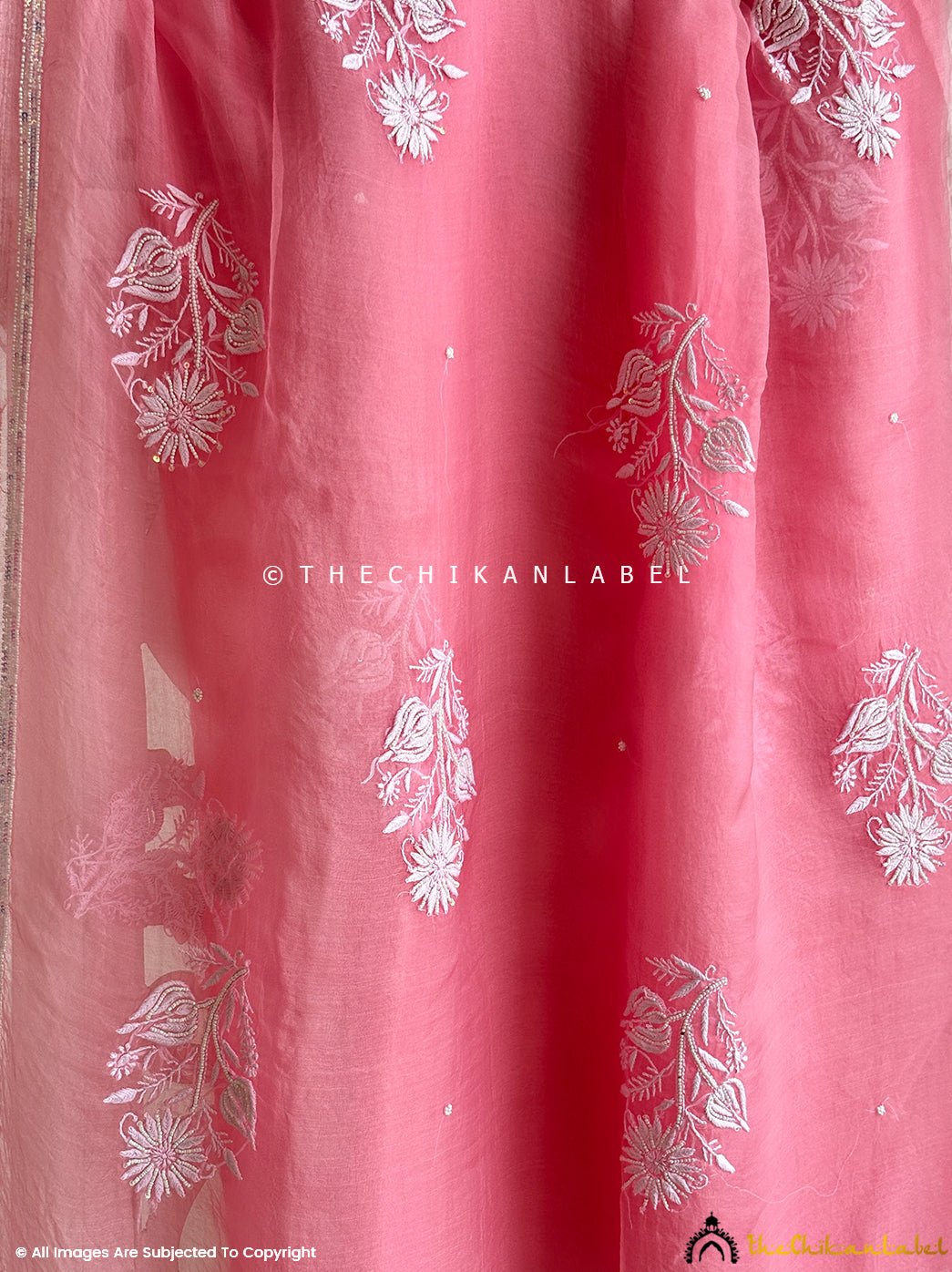 Handcrafted organza chikankari pearl work saree displayed elegantly on a model, showcasing intricate Lucknowi embroidery and delicate pearl embellishments ideal for festive wear and wedding occasions.