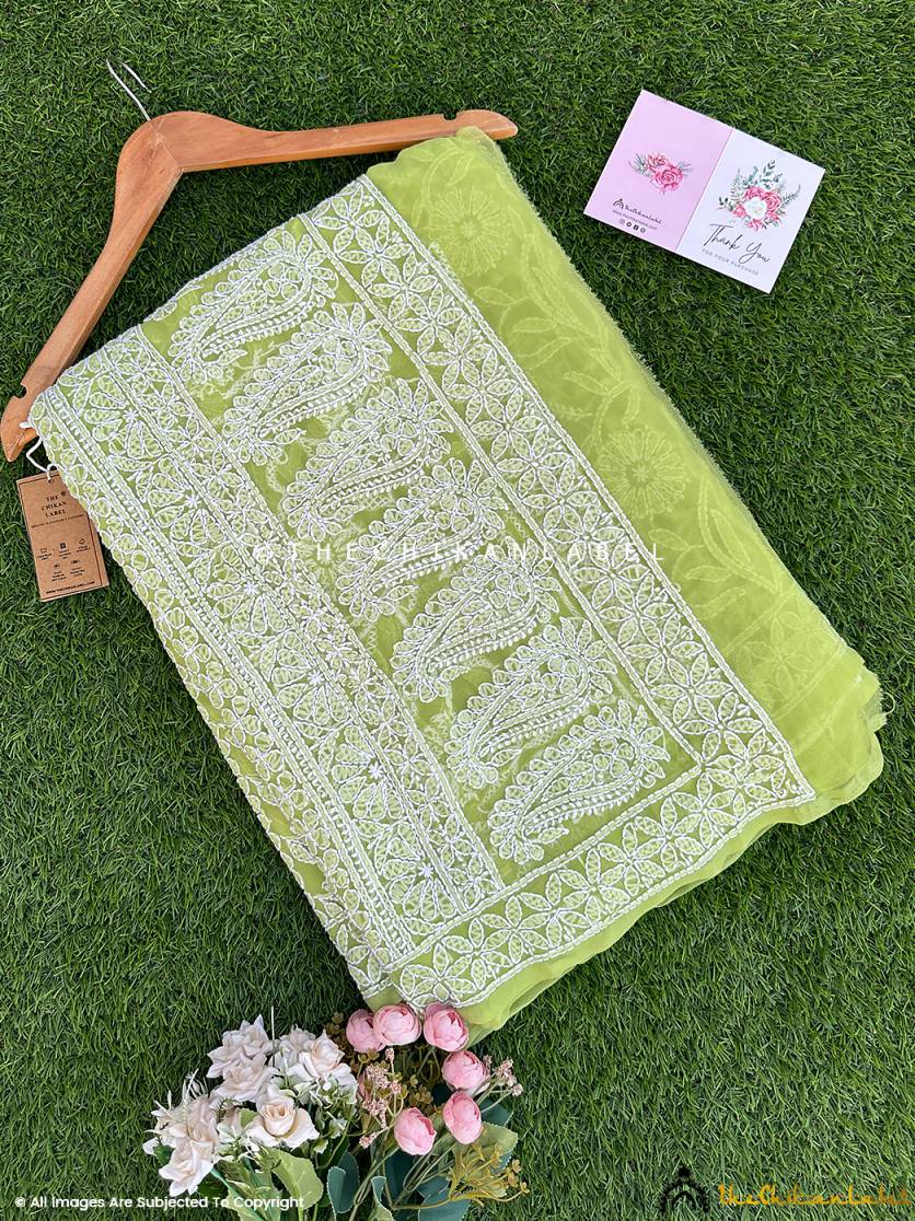 blue sahira georgette chikankari half jaal saree