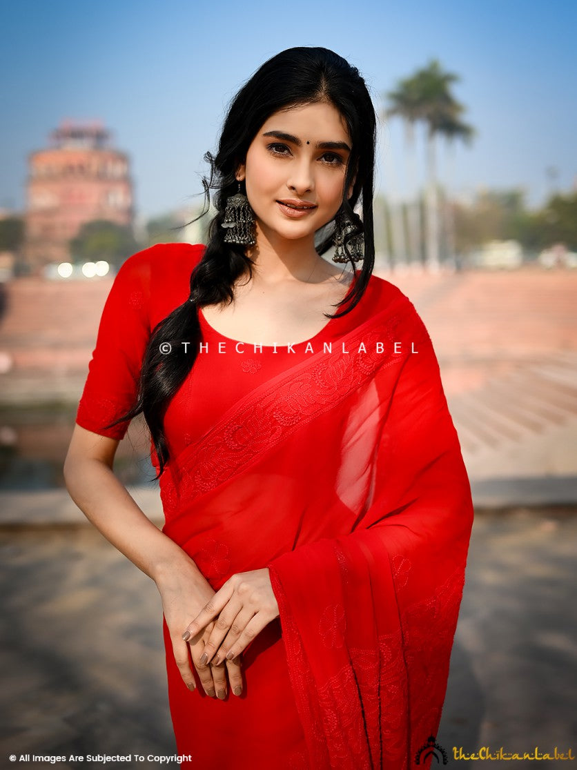 Lucknowi viscose chikankari saree with intricate embroidery work and elegant handcrafted details.