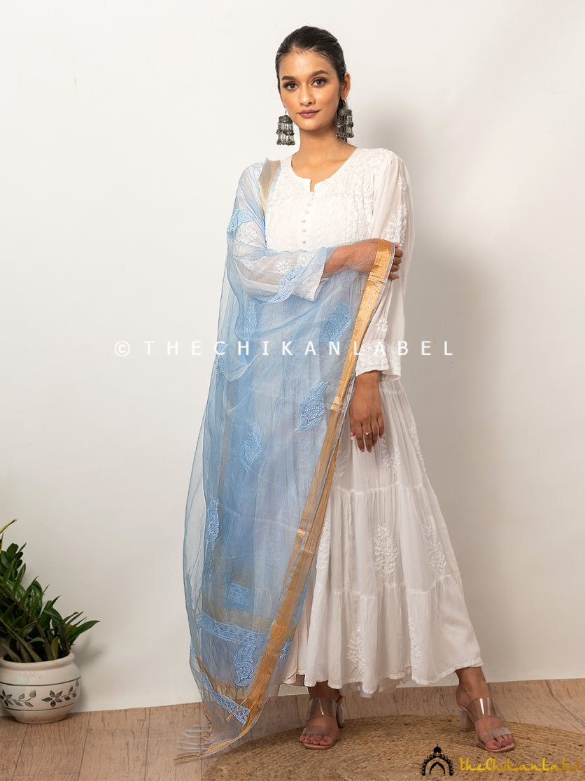 Blue Organza Chikankari Dupatta Lucknawi Chikan Handmade Stole Scarf