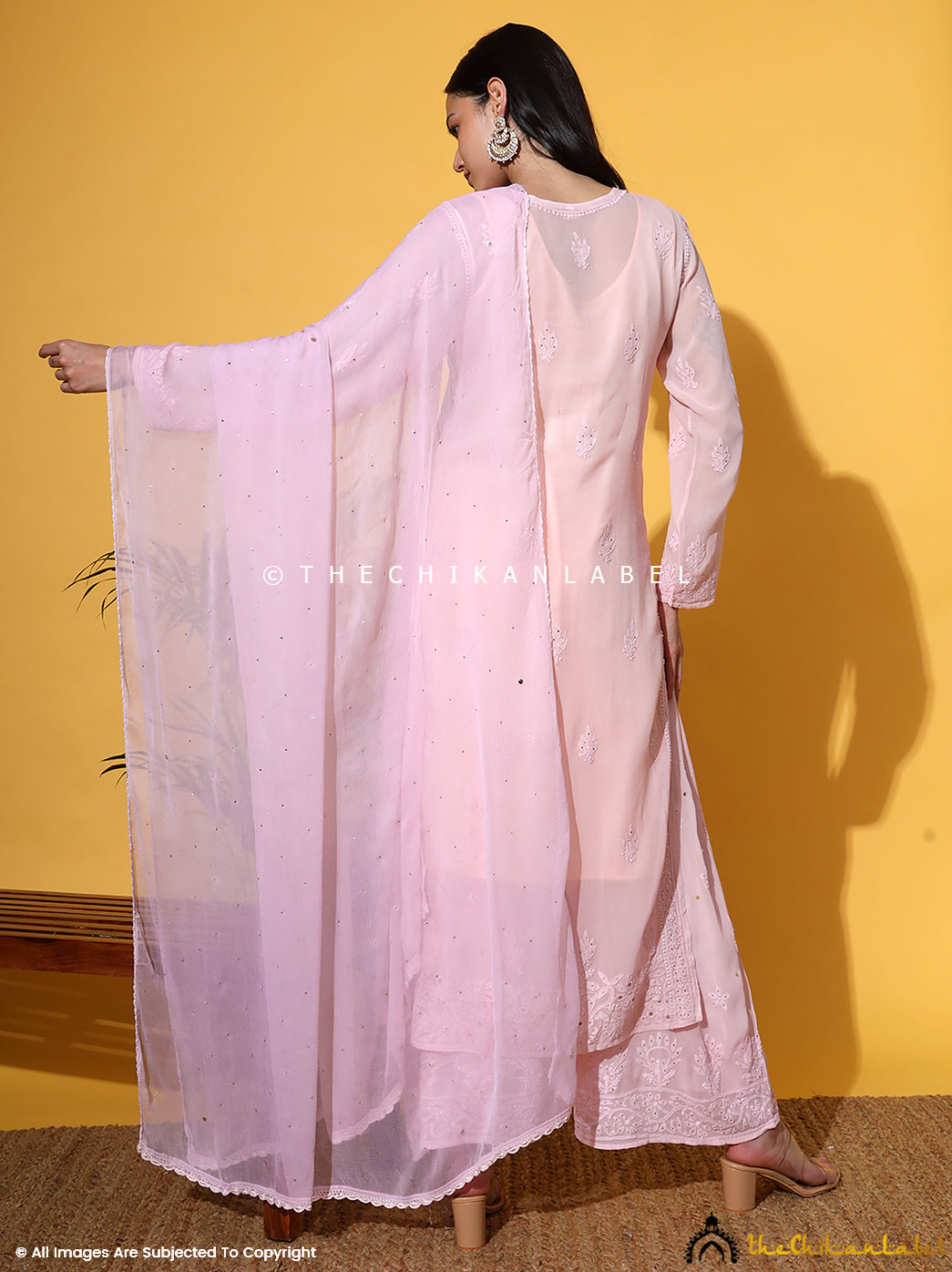 Sukhmani Gambhir Champagne Sitara Viscose Chikankari Kurta Set with Dupatta