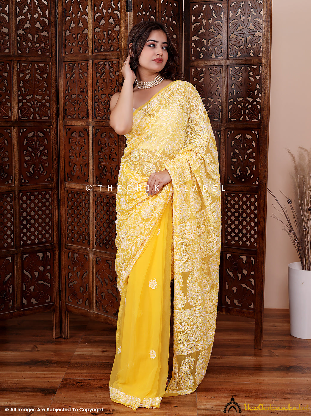 Yellow Sahira Georgette Chikankari Half Jaal Saree