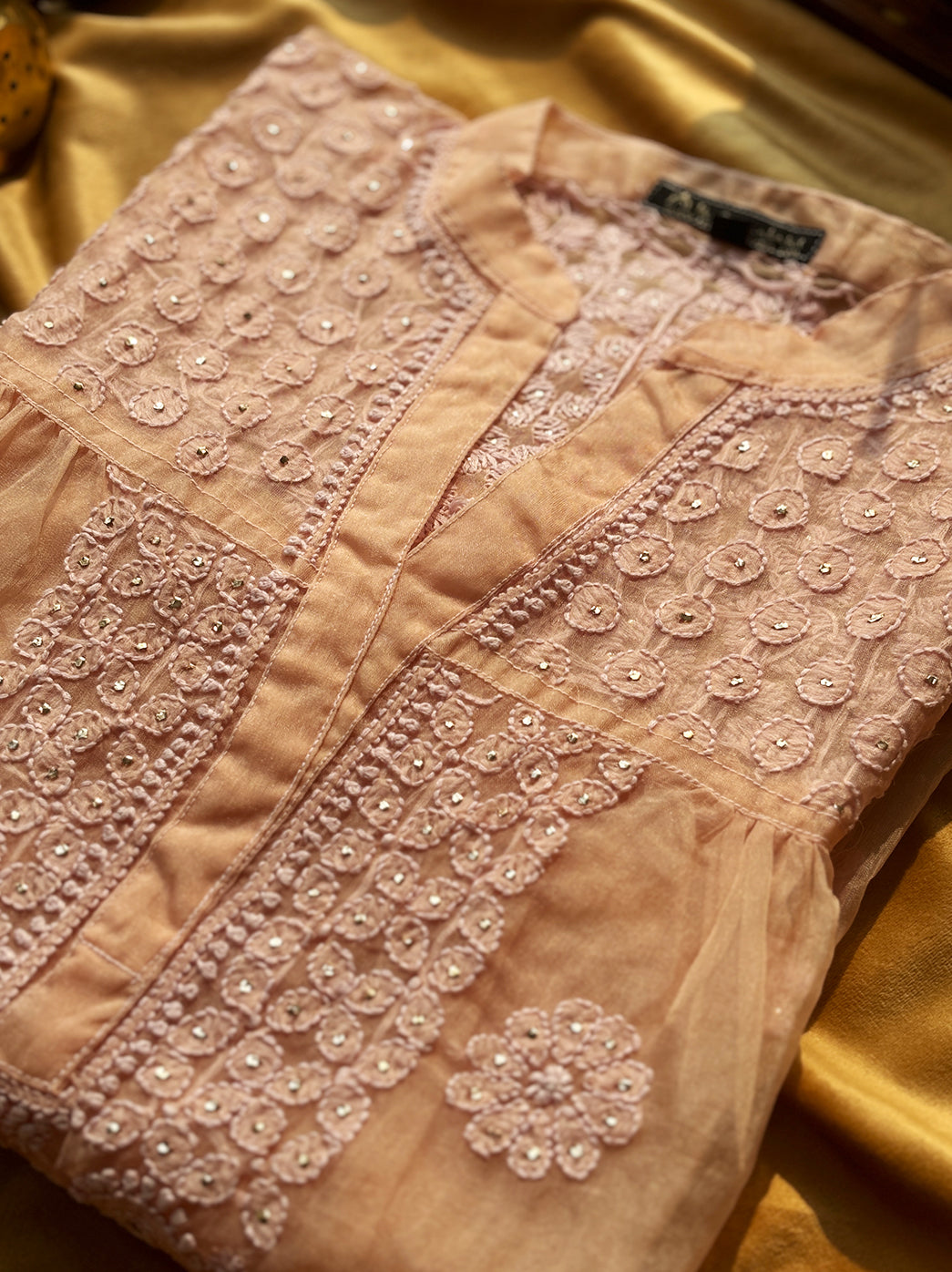 Beige Aashna Organza Chikankari Shirt