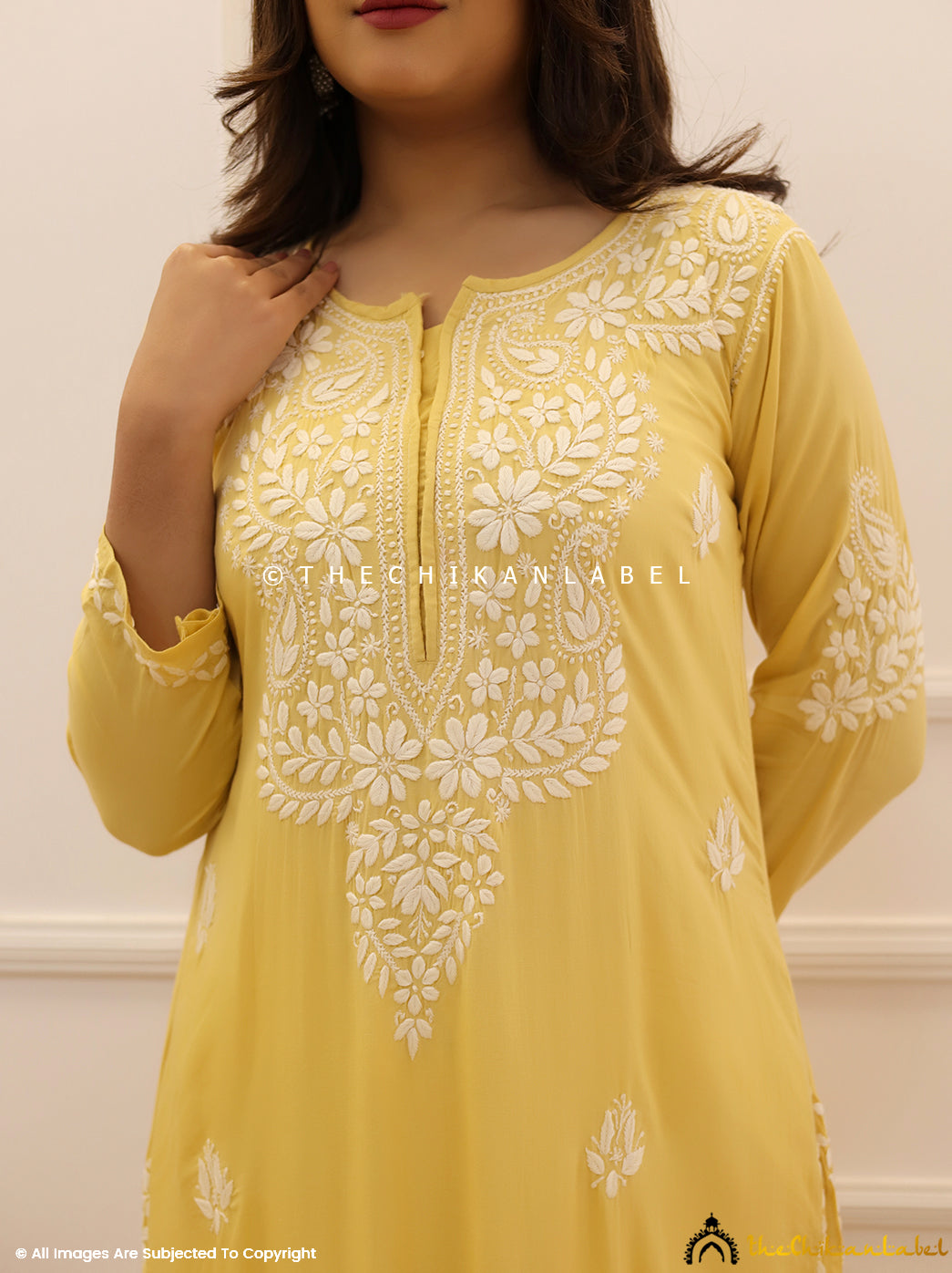 Beige Modal Chikankari Straight Kurti