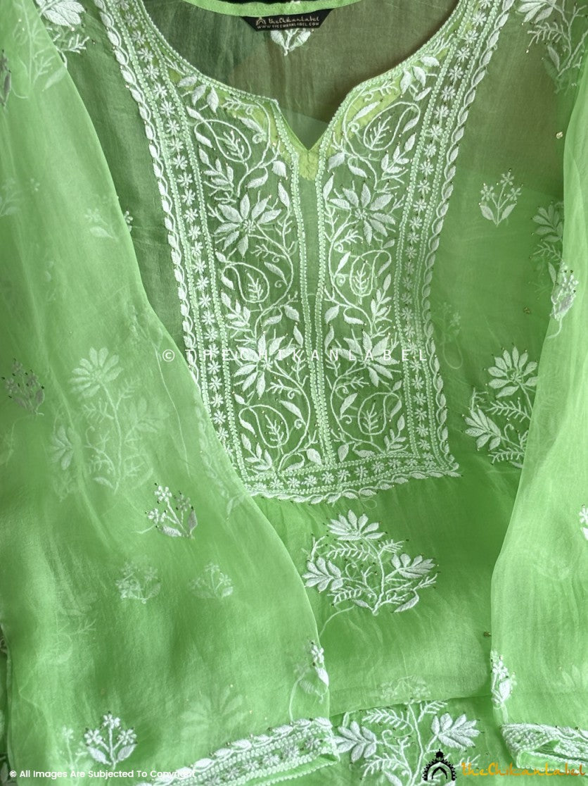 Green Tahilya Stitched Pure Organza Chikankari Suit