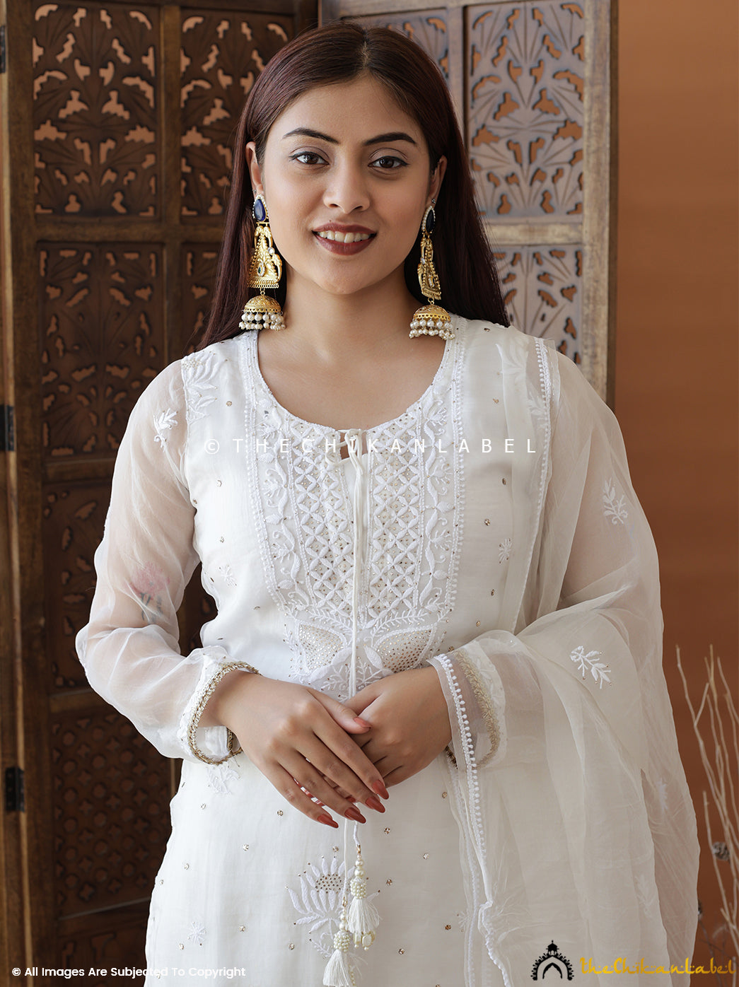 Elegant organza chikankari suit featuring intricate embroidery perfect for weddings, parties, and cultural celebrations.