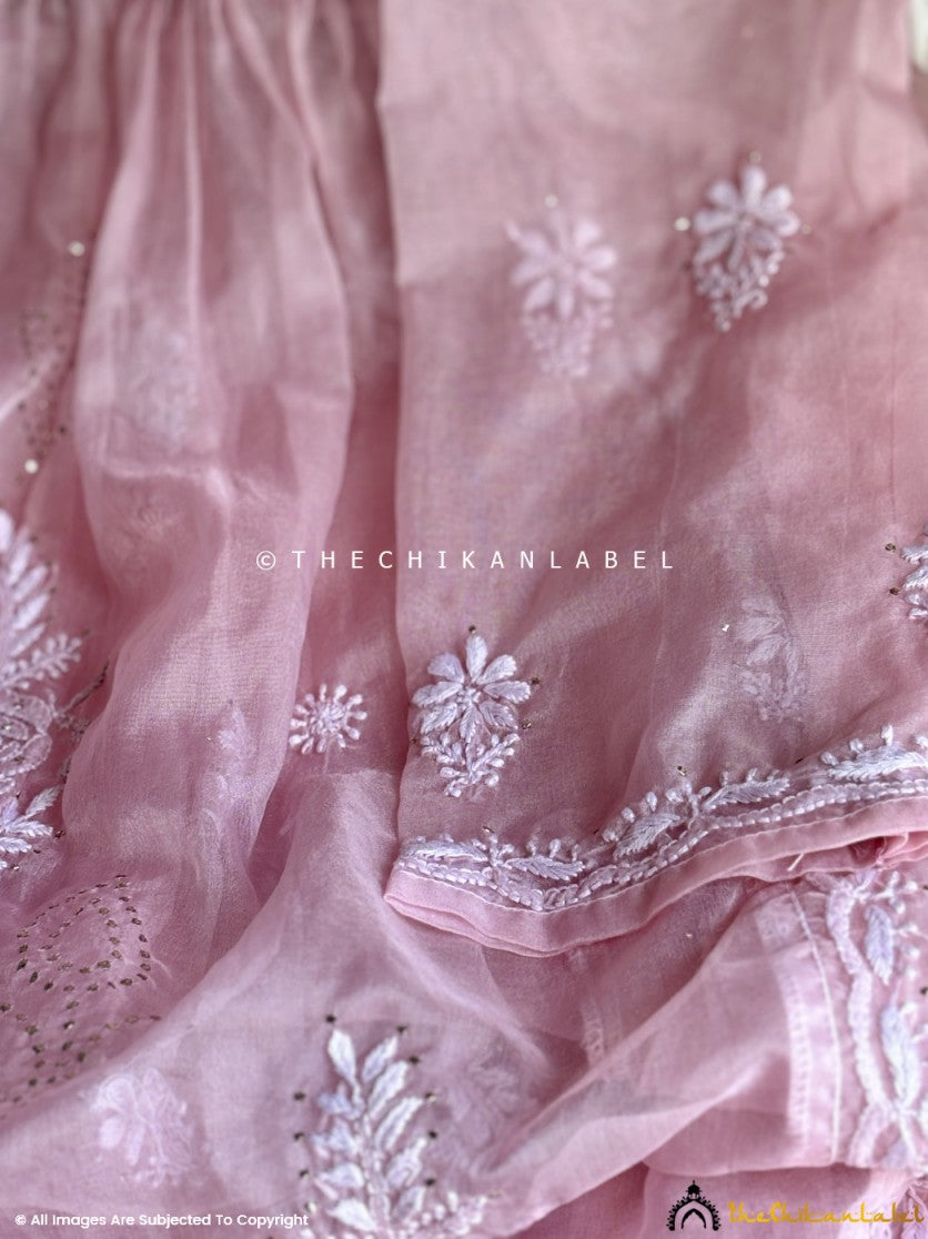 Baby Pink Ahilya Organza Chikankari A-Line Kurta with Dupatta