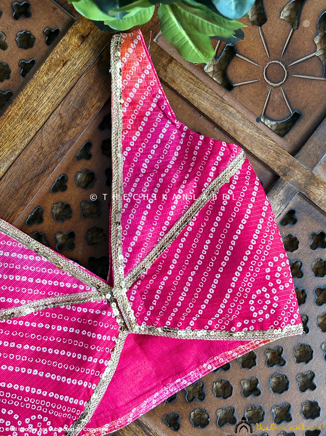 Ethnic wear Kota Doria blouse with sleeveless cut and stylish pattern ideal for cultural celebrations and parties.