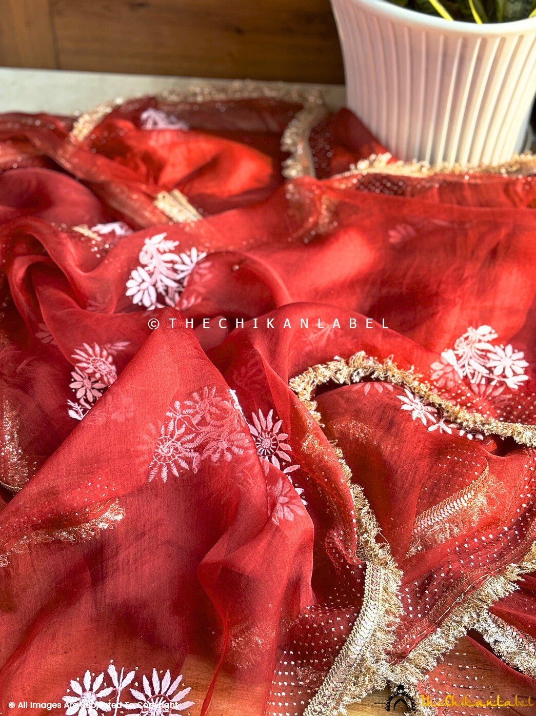 Maroon Leela Organza Chikankari Lace Border Saree