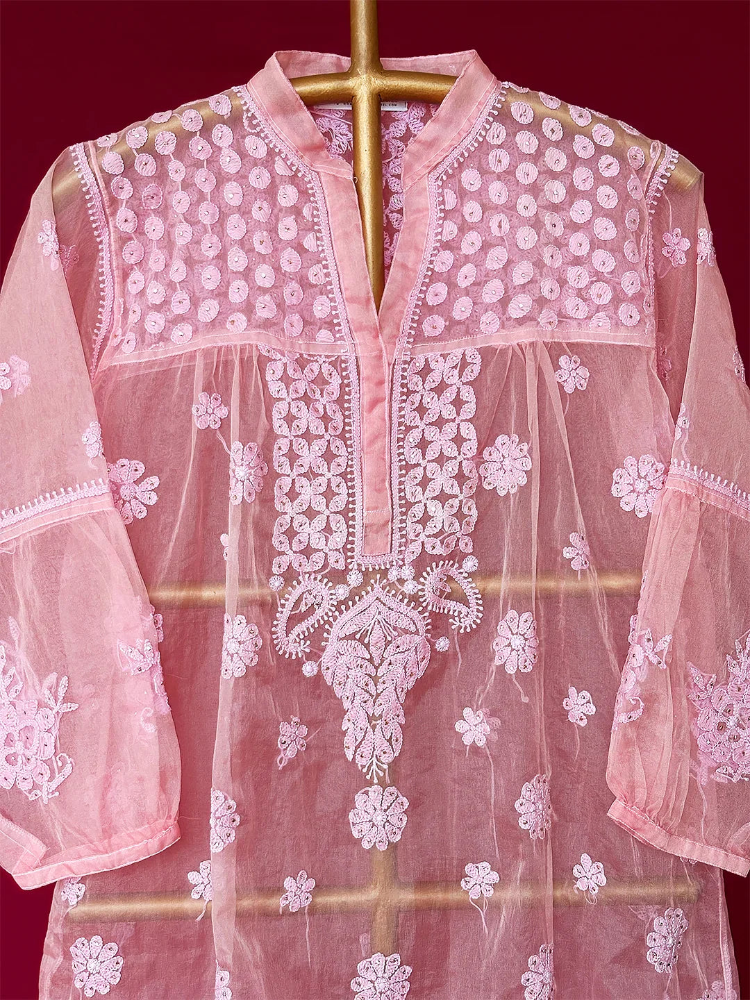 Aashna Organza Chikankari Short Kurta - Pink
