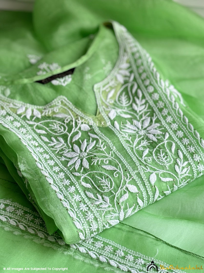 “Semi-stitched organza chikankari kurta set w“Semi-stitched organza chikankari kurta set with dupatta featuring traditional Lucknowi hand embroidery”ith dupatta featuring traditional Lucknowi hand embroidery”