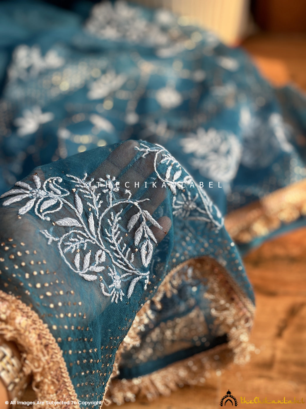 Teal Blue Leela Organza Chikankari Lace Border Saree