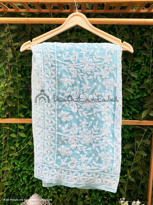 Sky Blue Sahida Georgette Chikankari Full Jaal Saree